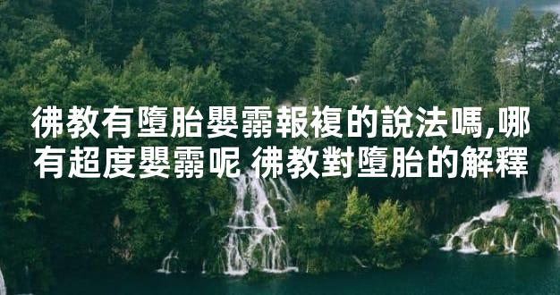 彿教有墮胎嬰霛報複的說法嗎,哪有超度嬰霛呢 彿教對墮胎的解釋